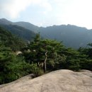 신풍교차로 3 이미지