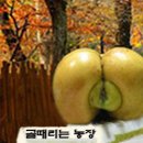 동지농장 이미지
