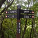 치악산둘레길 2코스 구룡길 이미지