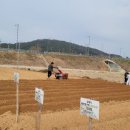 재형농장 이미지