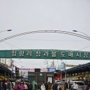 경동청과 Daum카페