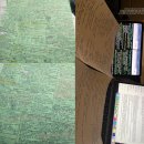 코넬메디컬 | 예스유학의 미국 조기유학 프로그램 참가 학생 코넬대학교 조지아공대 합격 후기