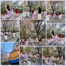 호만브레인유치원 이미지