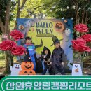 🌙🎃 창원휴양림 캠핑리조트 할로윈 포토존 설치 후기