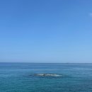 정동바다민박