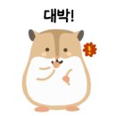 HS관광호텔 이미지