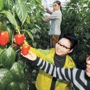 순동농장 이미지