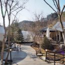 파인빌펜션 | 가평글램핑 파인포레스트 글램핑 방문후기