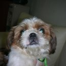 강선마을(중) 이미지