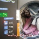 모란세탁 이미지