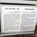 윤돌숲