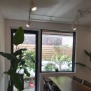HoHo cafe(호호카페)