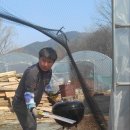 현덕농장 Daum카페