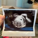 마곡온약국 | 마곡 차병원 페마라 배란유도 임신성공 후기(양누리 교수님 진료)