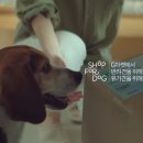 애완동물/애완용품 소매업 - 고양시 덕양구 행신로 266 | 애완동물/애완용품 소매업