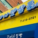 펫살롱지니 이미지