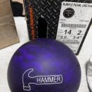 퍼플라이노 이미지