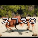 게임세아