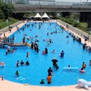 야탑동 물놀이장 이미지