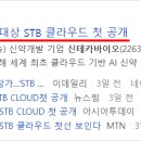 에스티비서비스