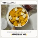 로그릭 - 서귀포시 천제연로 183 | 로그릭