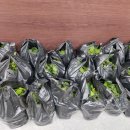 마니농장 이미지