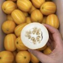 11500-13-09-15 | 경산 과일가게 달콤푸릇 / 4/24 오늘의 특가(🍉꿀 수박🍉,스위티오 바나나🍌,참외) / 오늘의 공구 +:｡.｡💖｡.｡:+