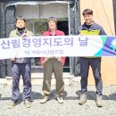 산주인삼