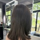원신흥초교 | 대전 도안동 미용실 헤어샵 뮤리헤어룸 소희원장님 카키브라운 비건염색 추천