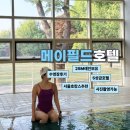 메이필드호텔전문학교 | 메이필드호텔 수영장 후기 시간 사진촬영 서울호캉스추천