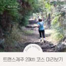 삼성헬스프라자 | 트랜스제주 20km 코스 대록산 따라비오름 사전답사 정보