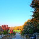 태학산자연휴양림 잔디광장 이미지