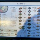 삼산웰빙프라자 앞(평천로400) 이미지