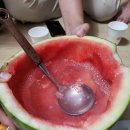 바다솔정원펜션 이미지