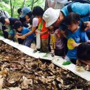 둘리쌍문공원 유아숲체험장 이미지