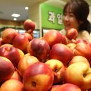 천도