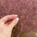 청주 네일샵 벨르뮤 (구 미우뷰티) 이달의 아트 후기