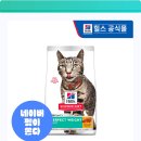 묘생역전 | 냥이 뱃살 빼고 힐링 묘생! 힐스 퍼펙트 웨이트로 나비처럼 날씬하게!