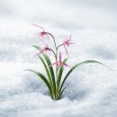 우인 네이버블로그