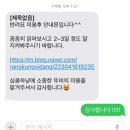 마곡 고양이 미용 호텔 이미지