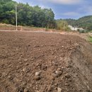 영천골재중기 이미지