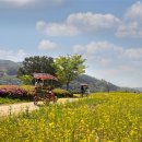 에코아트투어 이미지