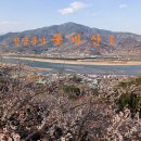 매화농원 이미지