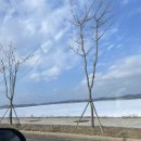 멍언니 쌀롱 이미지