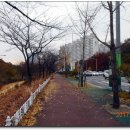 송학초등학교 앞 이미지