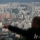 주담대 만기 축소에 쪼그라든 대출한도. "결국 퇴직금 당겨써요" 한숨 이미지