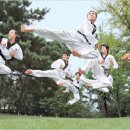 세계로 태권도 이미지