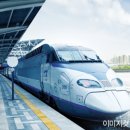 쌍봉로,시청로 이미지