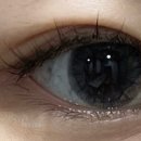 세명대구내안경 위드렌즈 이미지