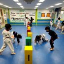 예바른 태권도장 이미지